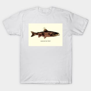 Canadian Red Trout Vintage Art for the Ocean Lovers and Anglers / Gifts for Fisherman T-Shirt